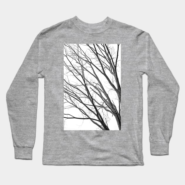 High Contrast Above Long Sleeve T-Shirt by BrianPShaw